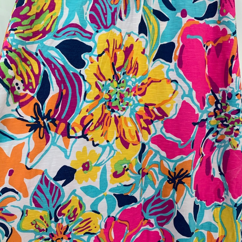 Barely worn Lily Pulitzer v-neck maxi dress, XS - Picture 7 of 10
